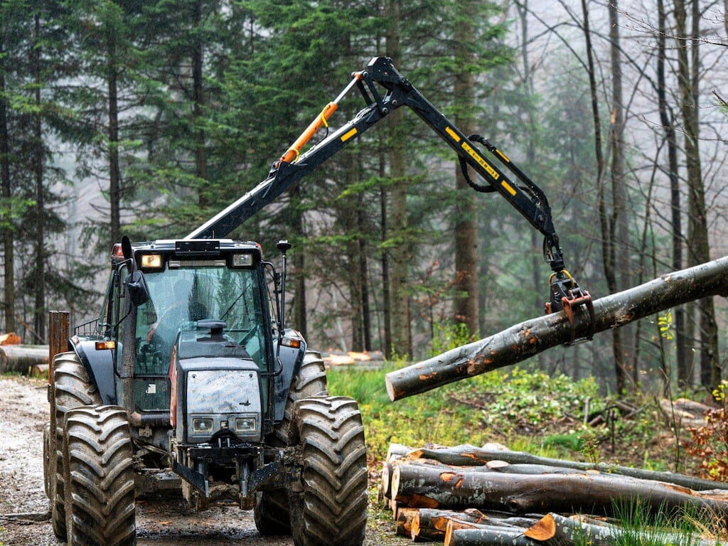 Salidas profesionales del sector forestal