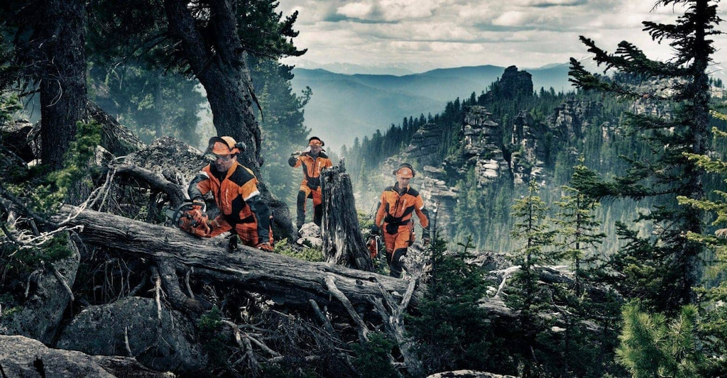 Empleo y actividades del sector forestal