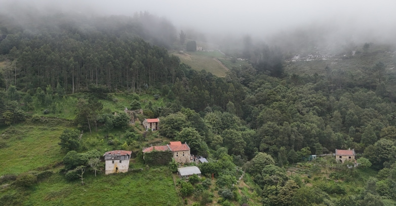 Bosque en área rural.
