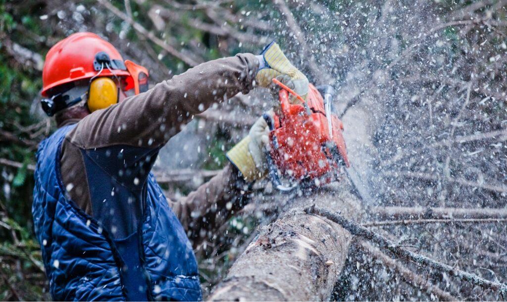 Equipos de Protección Individual de un trabajador forestal