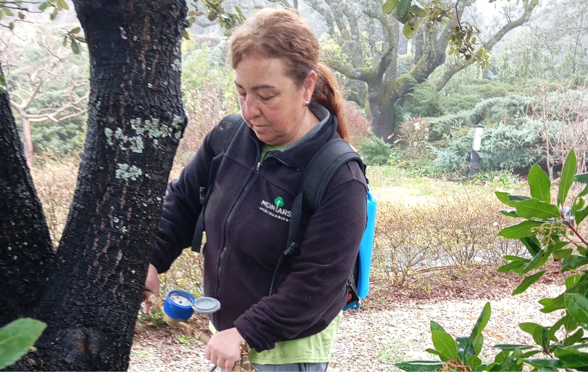 Arantxa Ávila, realizando tratamiento a un árbol.