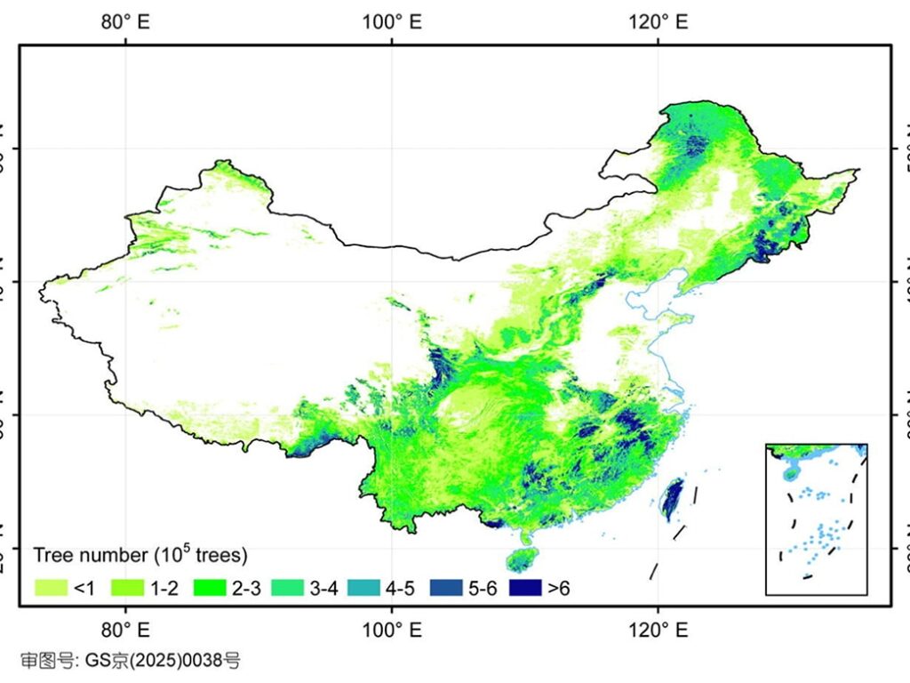Representación de la masa forestas en China.