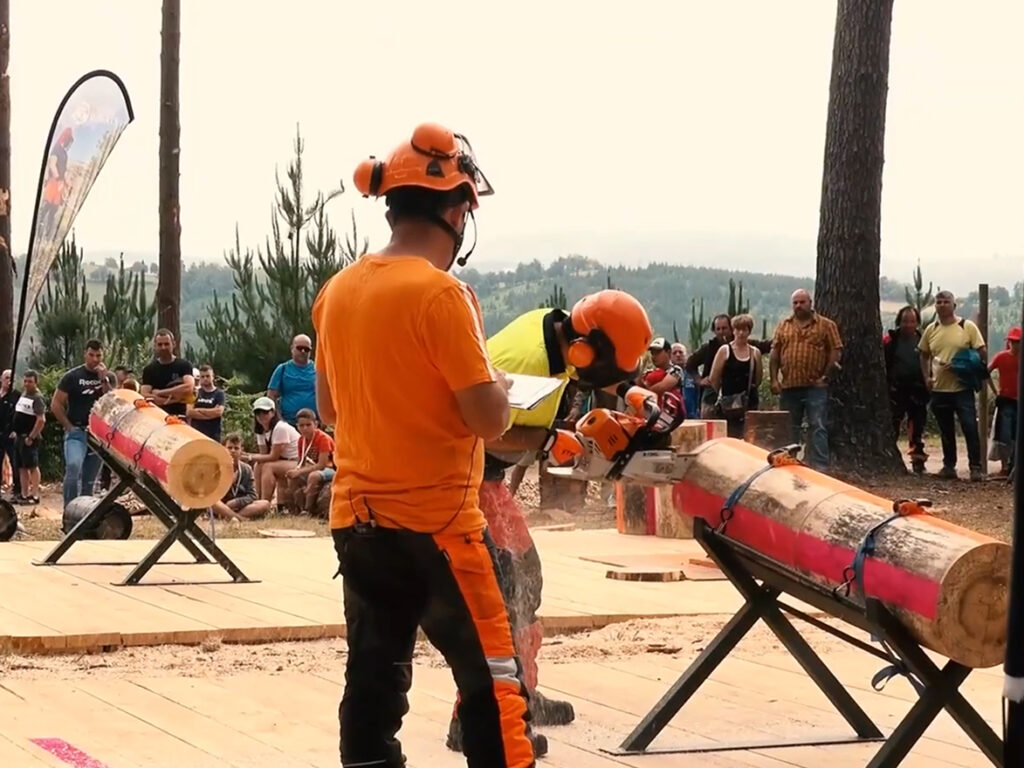 Asturforesta, única feria forestal de España, reunirá a expertos y profesionales del sector el próximo mes de junio
