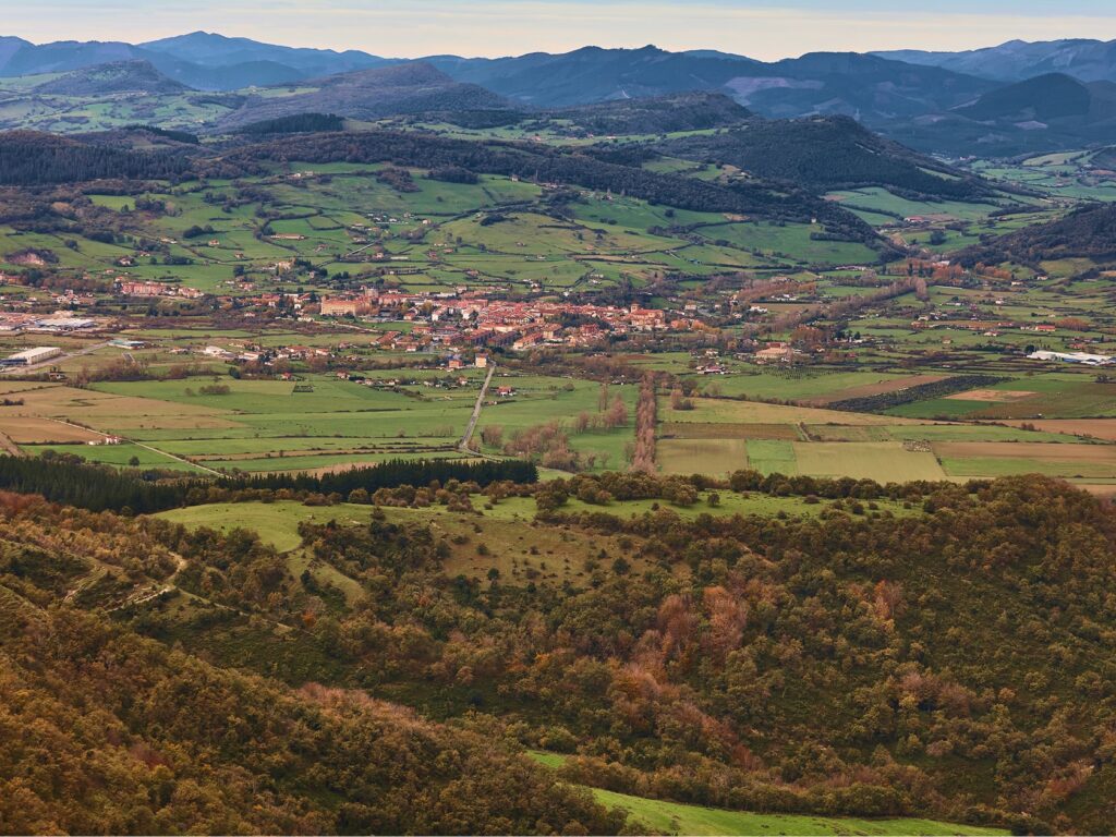 “Bosque resiliente”, una iniciativa pionera en la lucha contra los incendios forestales
