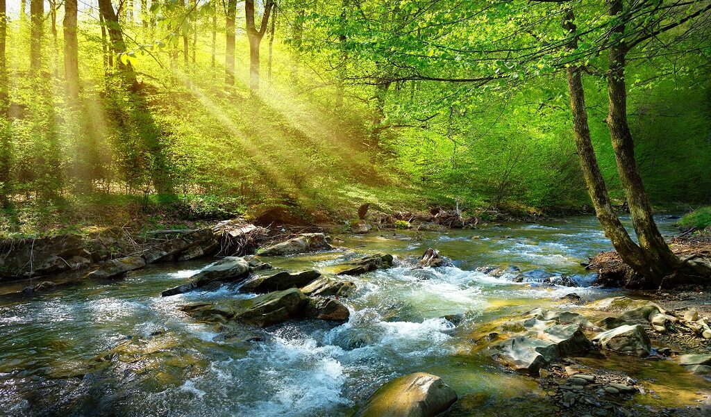 Últimas horas para inscribirse en el “Foro de Diálogo PEFC: Bosques y Agua”