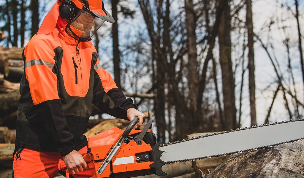 Trabajador forestal con una motosierra.