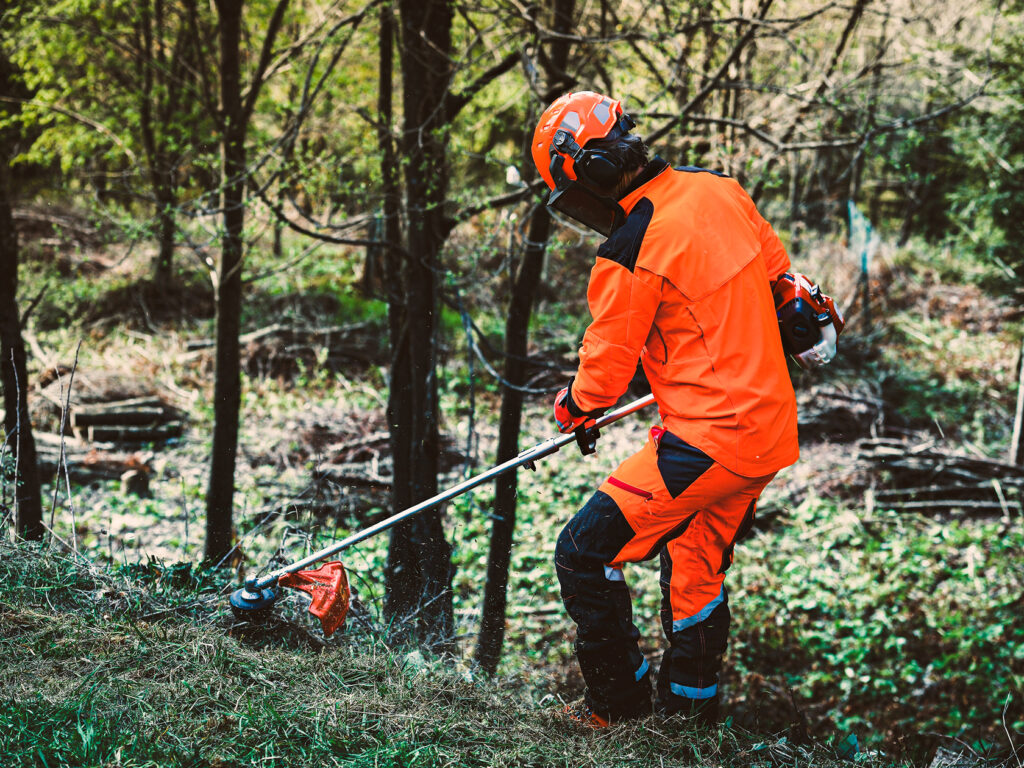 Herramientas forestales: cómo aprovechar las ofertas de primavera