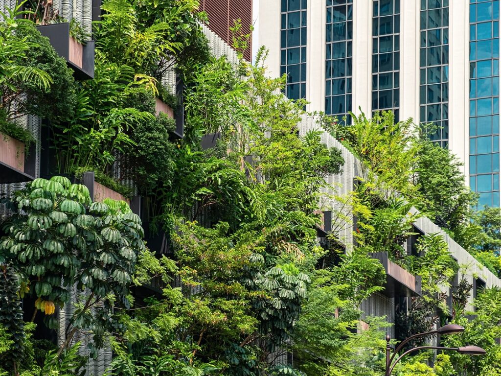 Del suelo a la fachada. Cómo reincorporar la naturaleza en ciudades sin espacio