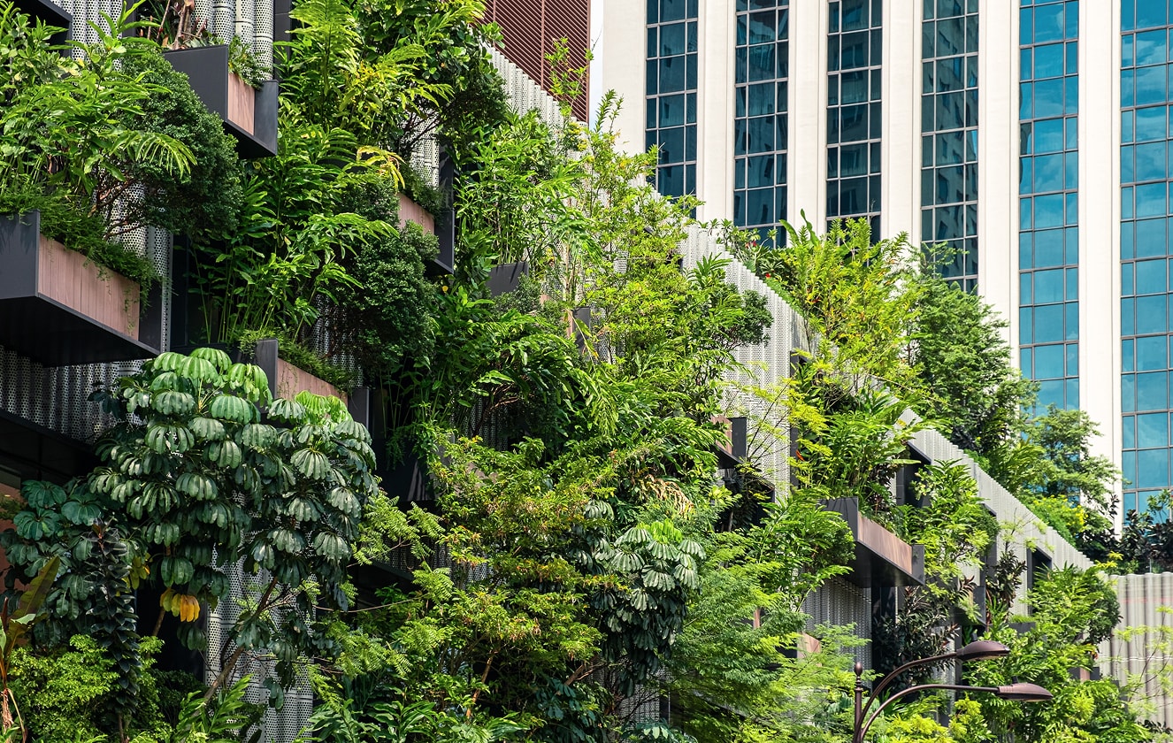 Del suelo a la fachada. Cómo reincorporar la naturaleza en ciudades sin espacio