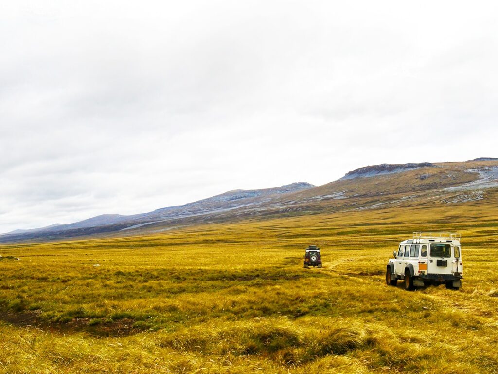Descubren un antiguo bosque fosilizado bajo las islas Falkland