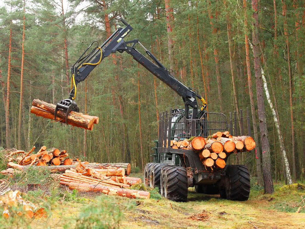Autocargadores forestales: tecnología para el aprovechamiento de la madera