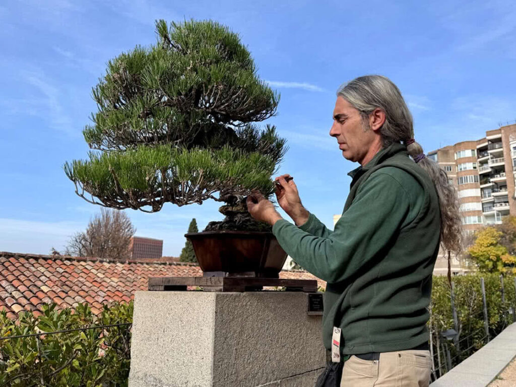 Entrevista Álex Gómez, jefe unidad de arbolado del Real Jardín Botánico -CSIC