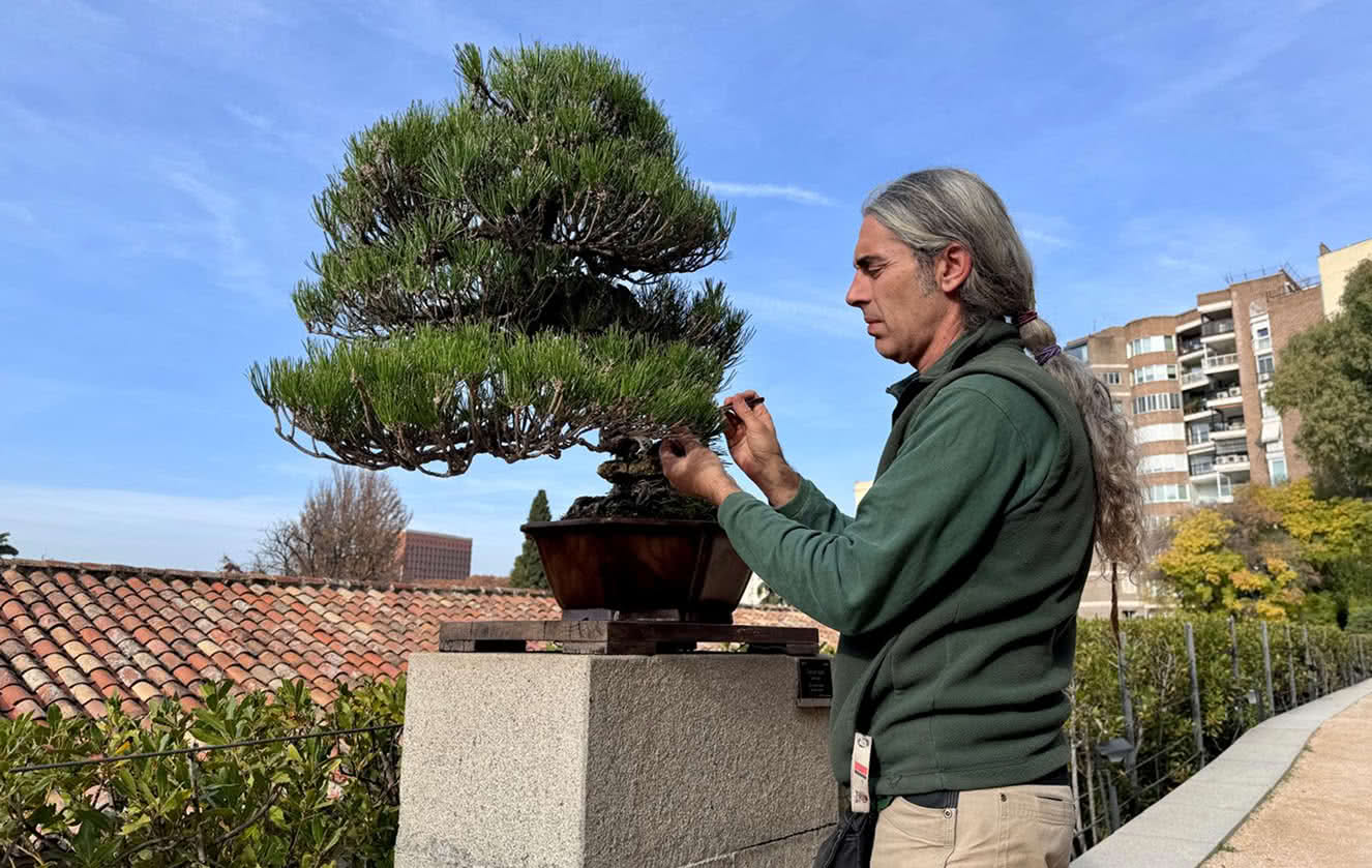 Entrevista Álex Gómez, jefe unidad de arbolado del Real Jardín Botánico -CSIC