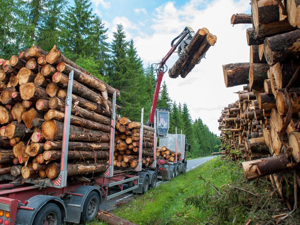 Remolque forestal: el aliado de la gestión sostenible de los bosques