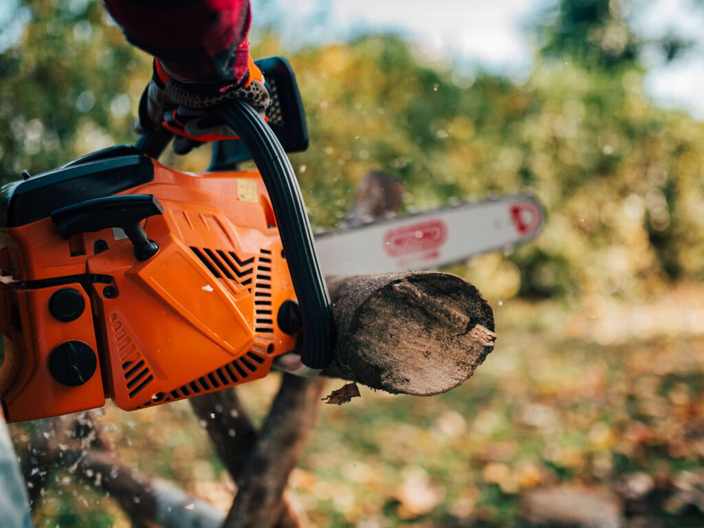Herramientas forestales: ¿Cuáles son las mejores ofertas de otoño?